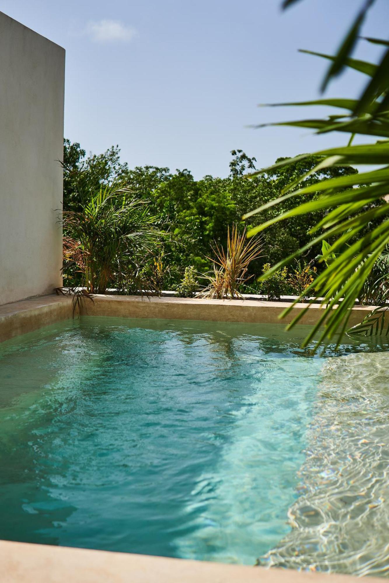 Spacious & Comfy Penthouse Oasis With Plunge Pool Tulum Pueblo Buitenkant foto